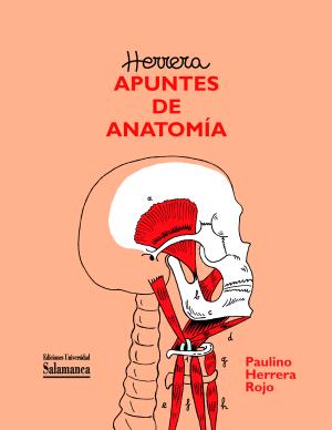 Encuentros: «Apuntes de Anatomía»